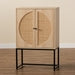 Ardon Rattan Two Door Storage Cabinet